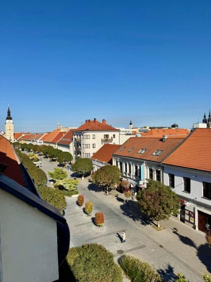 Ponúkam na predaj v centre mesta veľký tehlový 3 izbový byt s halou + veľká loggia veľkou pivnicou a garážou v uzatvorenom dvore