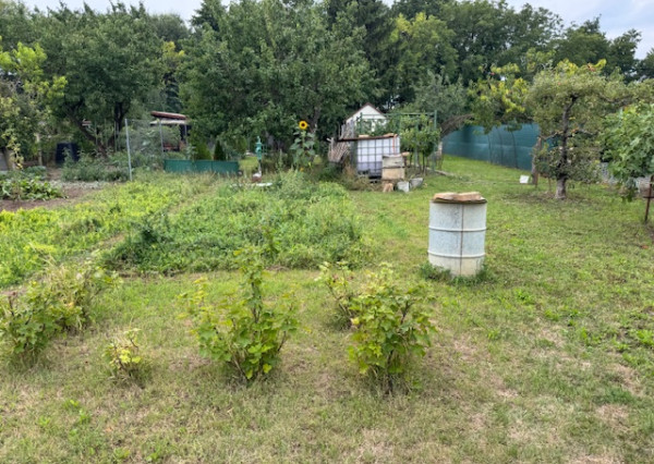 NOVÁ CENA !!! Predám veľký pozemok v záhradkárskej časti Kamenný Mlyn Trnava s výmerou 923m2